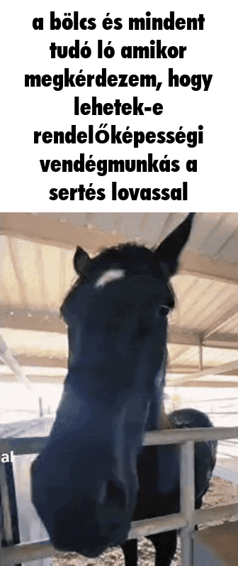 sertés lovas